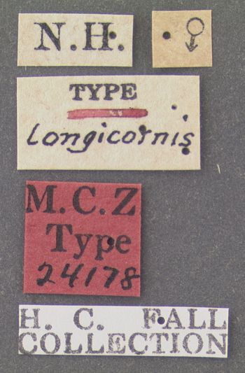 Media type: image;   Entomology 24178 Aspect: labels